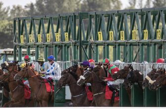 Cork Horse Racing